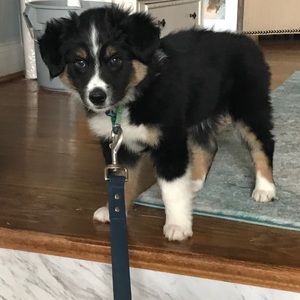 Meet your Posher, Mark